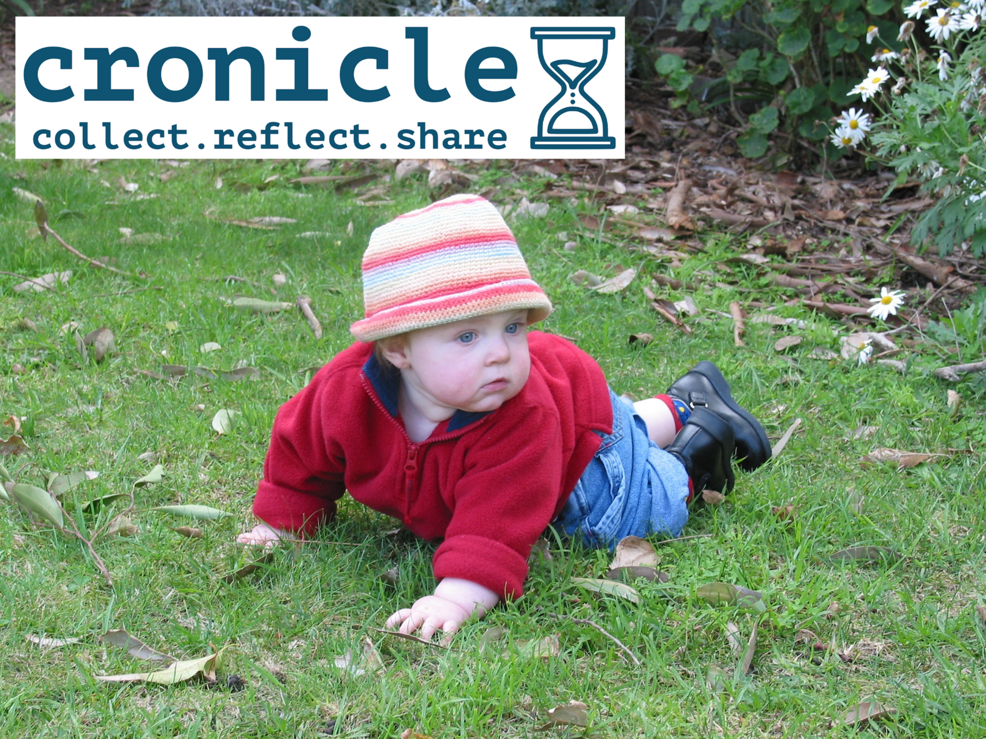 From Best-Of Lists to Vital Documents