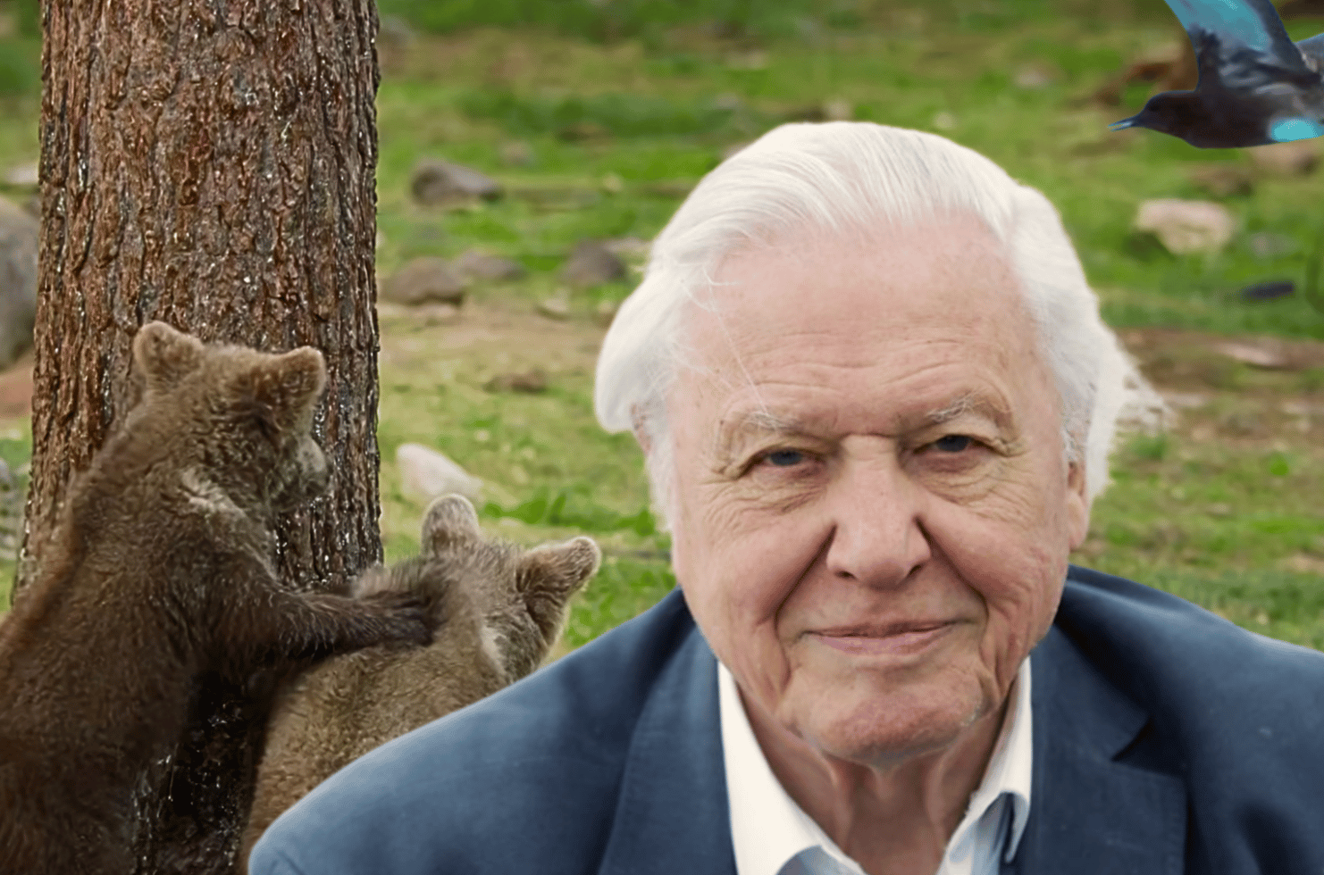 Why David Attenborough is a healthy aging model at 100