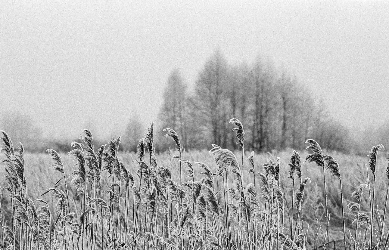 Zimowe zdjęcia z Podlasie