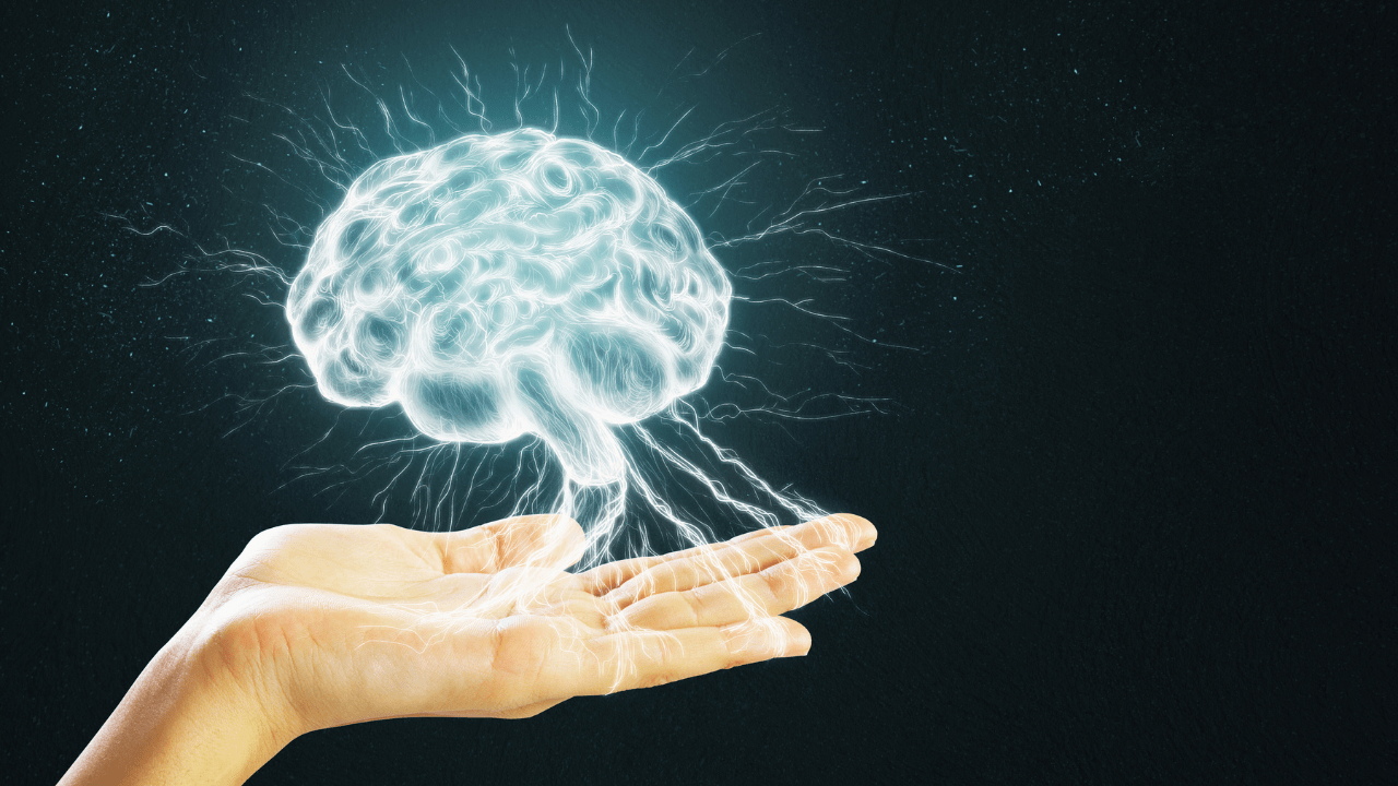 November 13, 2025 - Flexing Your Brain: The Mental Gym Nobody Talks About