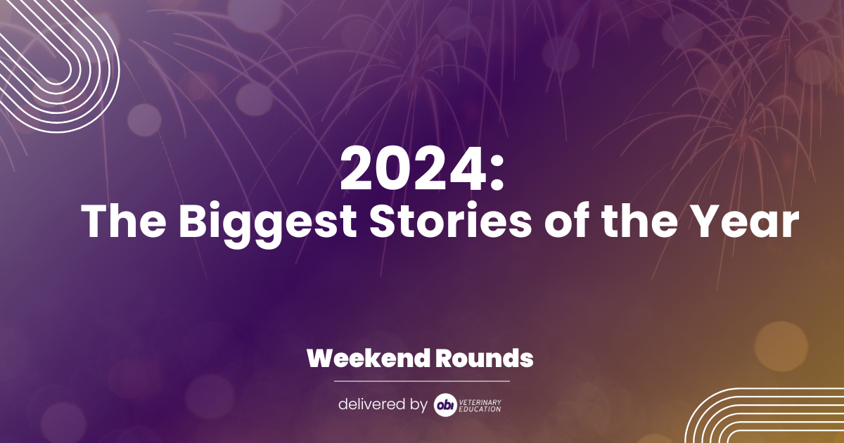 2024: The Biggest Stories of the Year