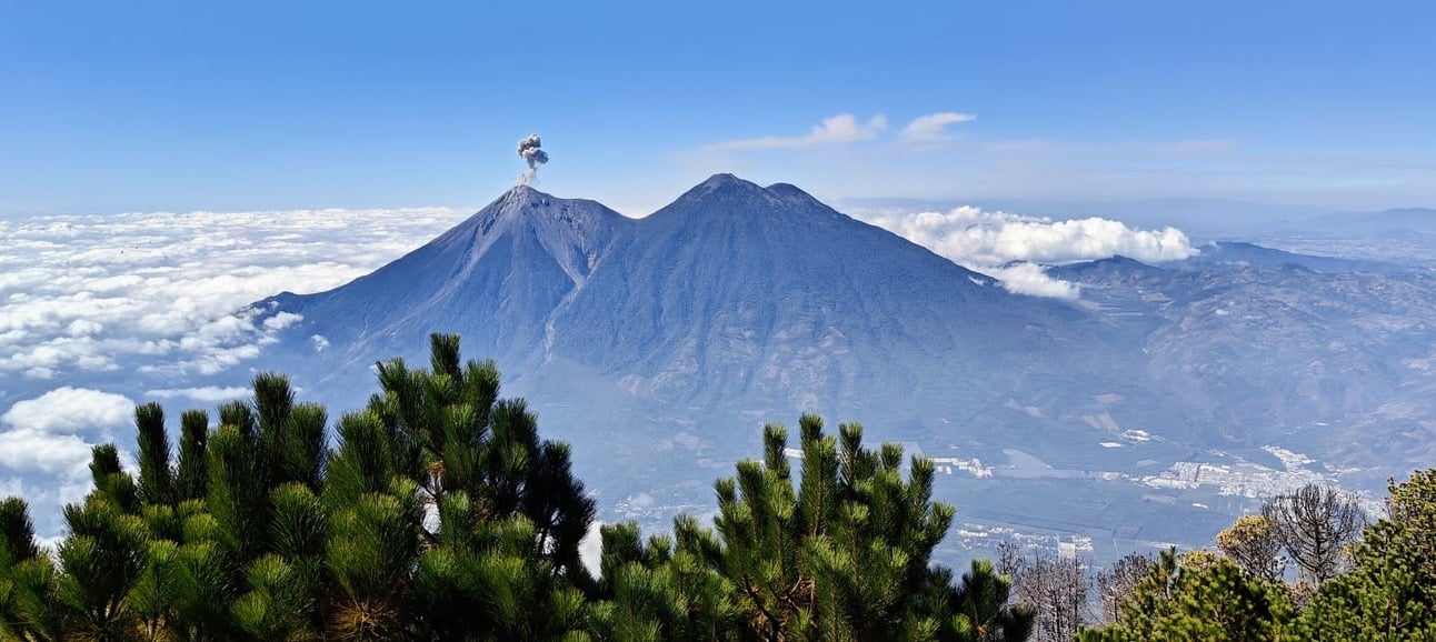 Enough Pain- Calling in Peace.