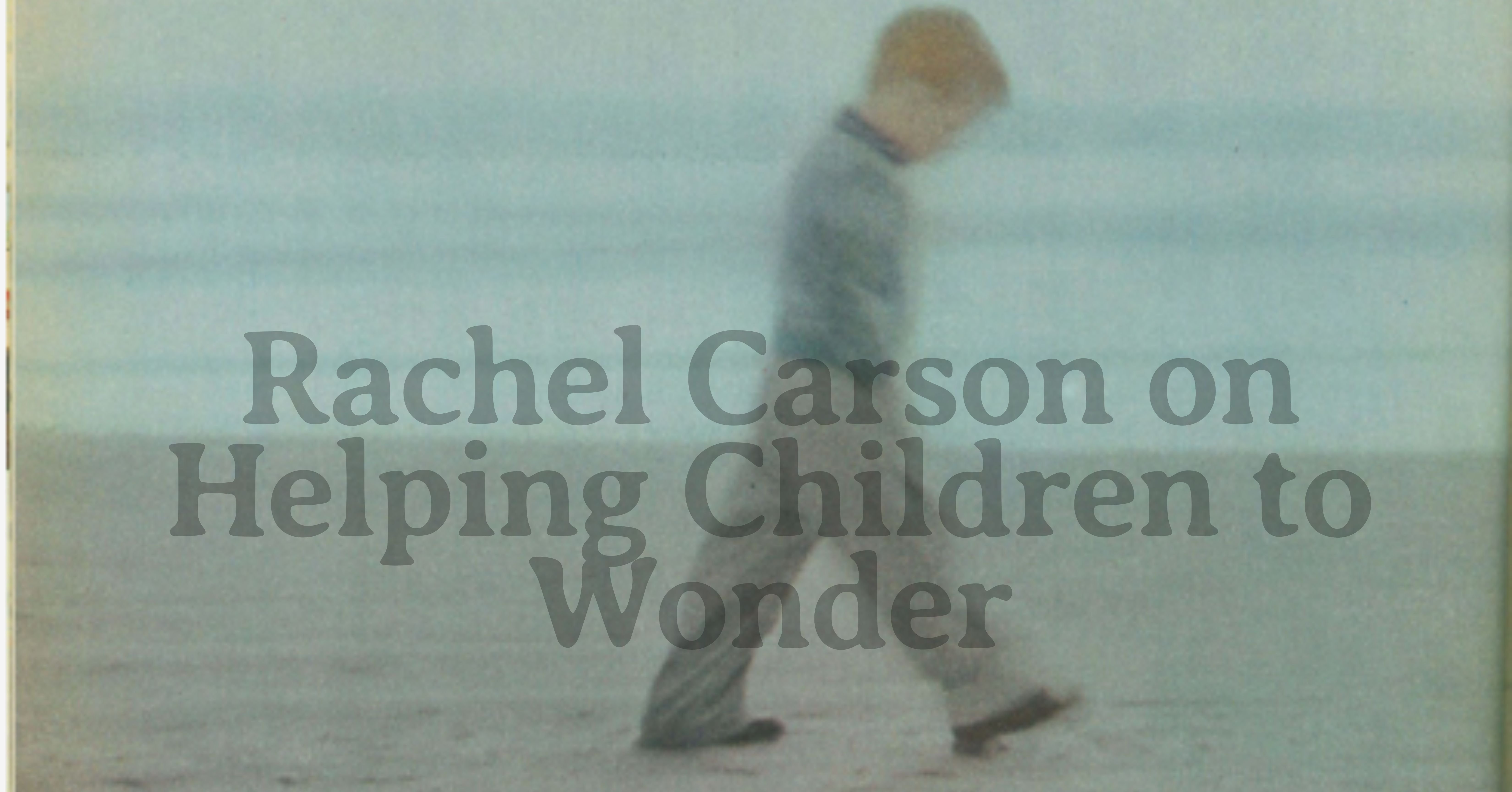 Rachel Carson on the Intelligence of Wonder