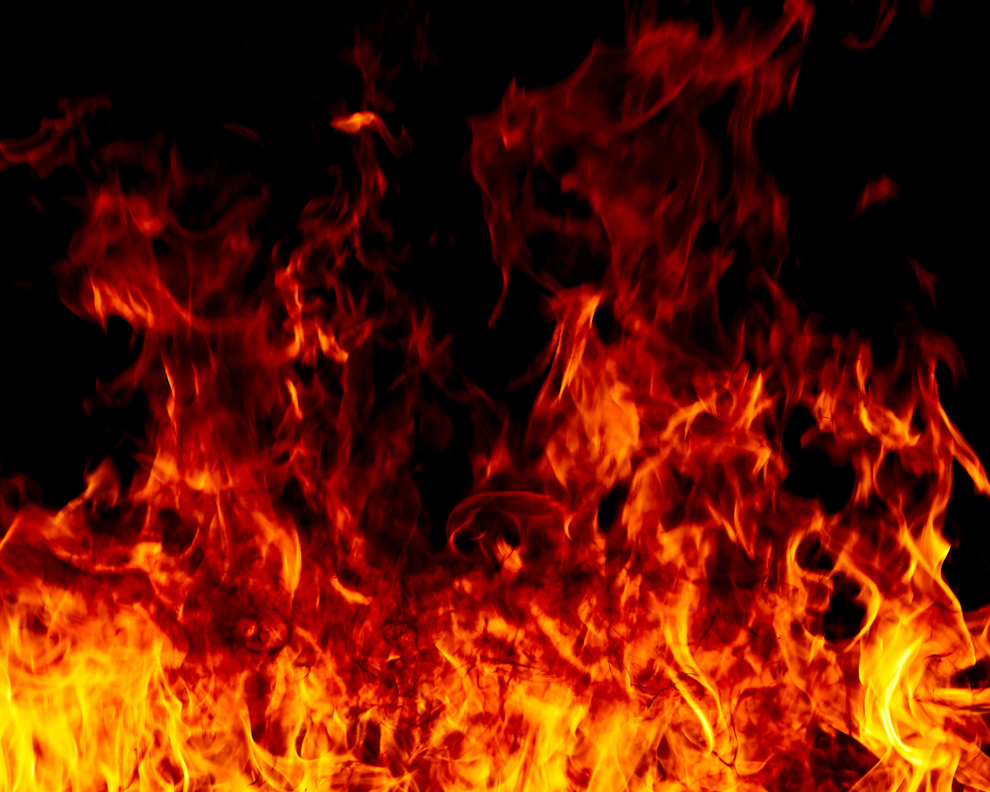 What’s the point when the world is literally on fire?!