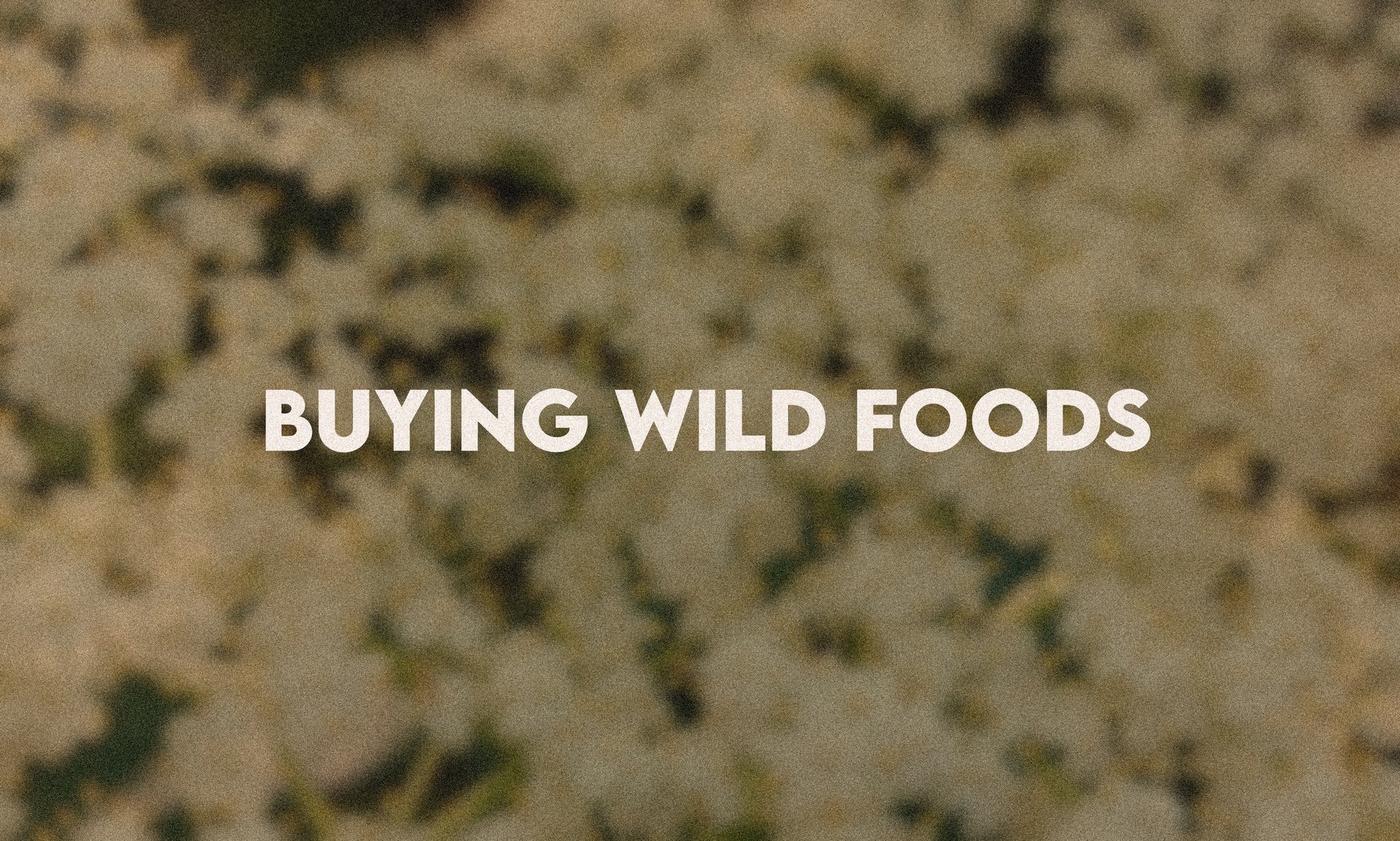 Buying Wild Foods