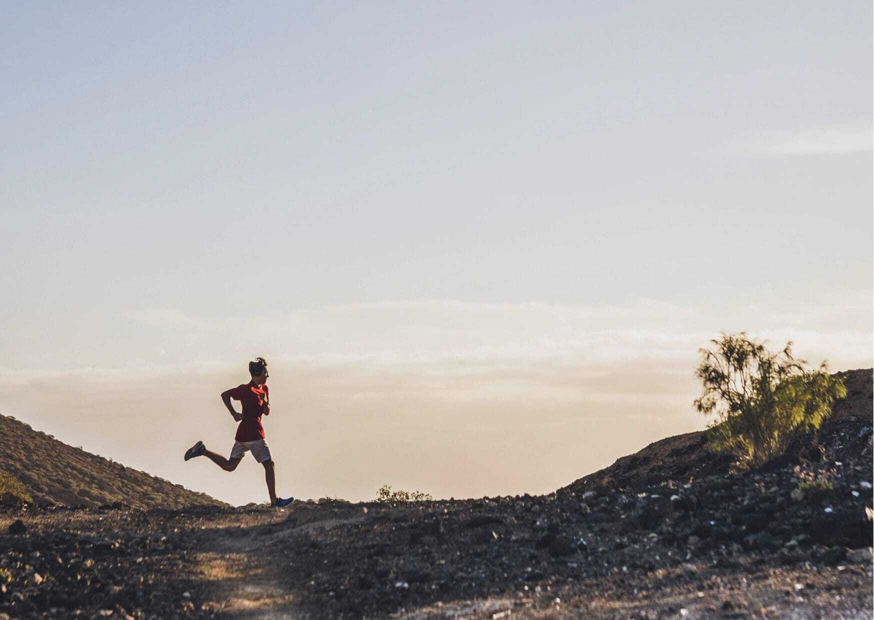 On (the joys of) negative utopias