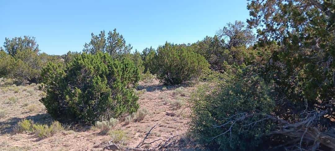 1.06 Acres of Off-Grid Lot in Apache County, AZ for $109 Down