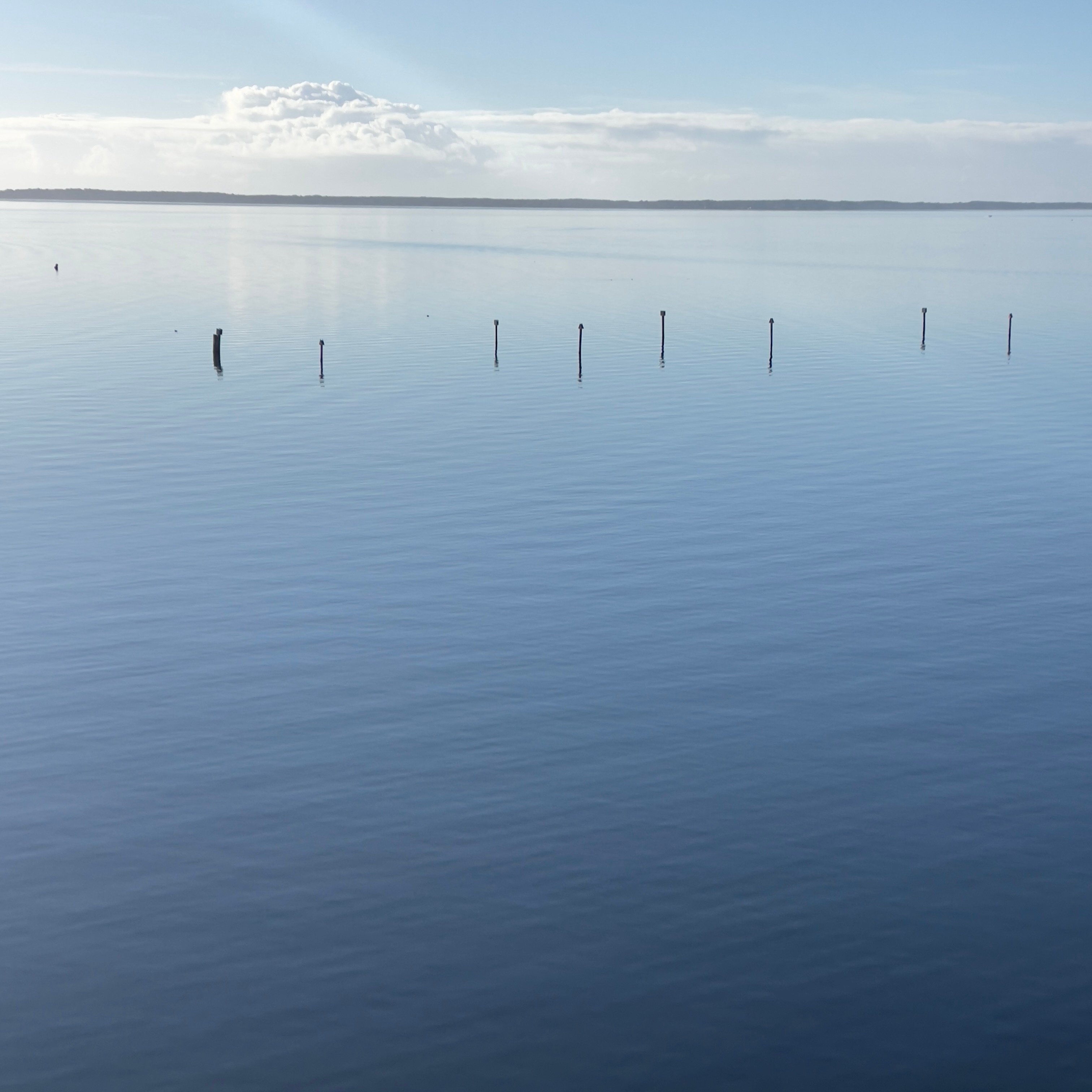 March 2026 Events, Resources and Volunteer Opportunities in Pamlico County, NC