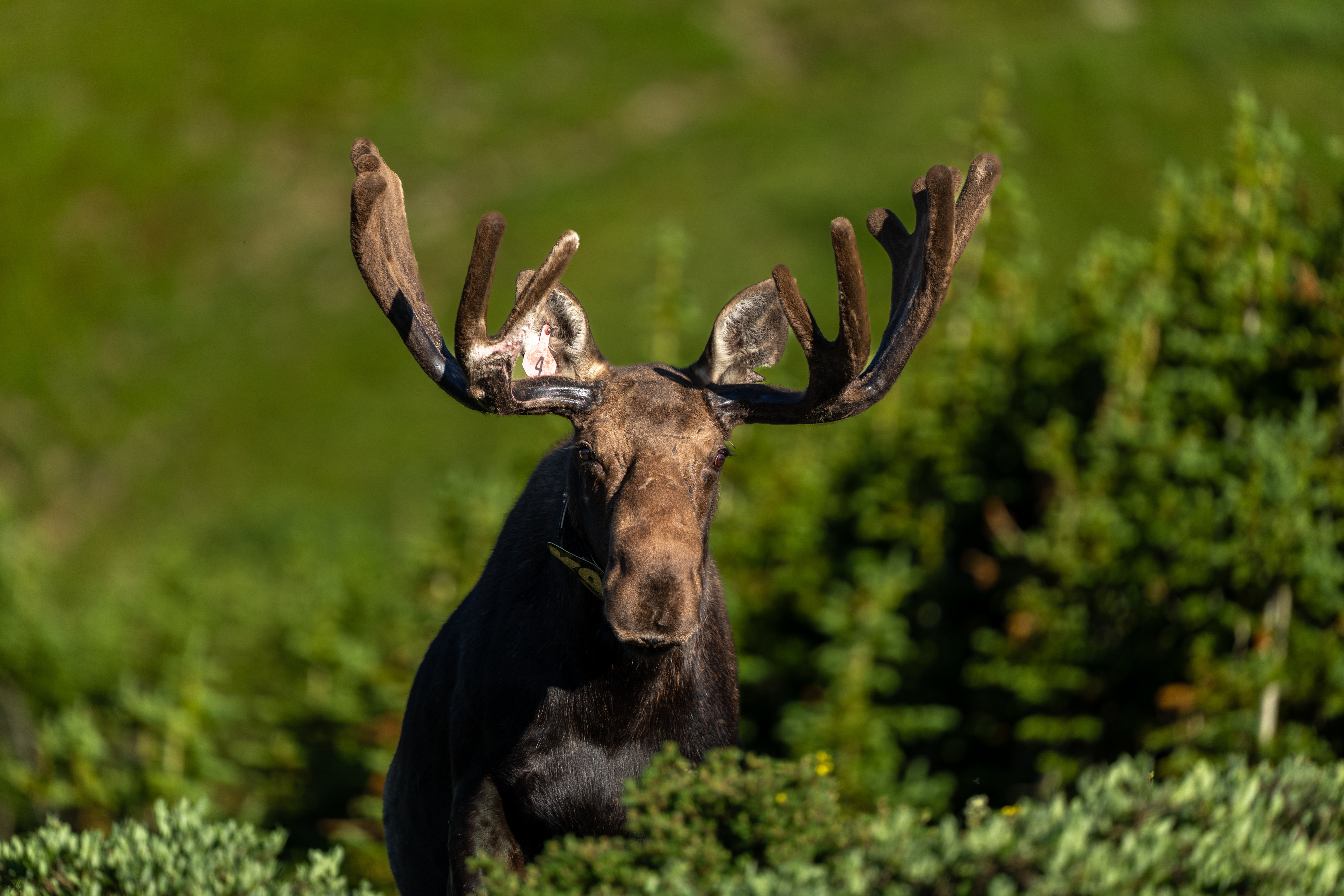 Trail Notes Newsletter: Mud Season & Mountain Momentum