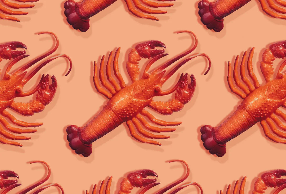 Optimiza tu perfil de LinkedIn con estos 5 tips: