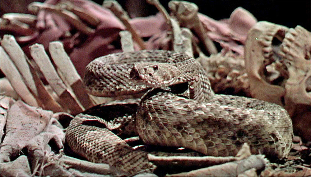 MORNING HOOTAROUND: FAMU