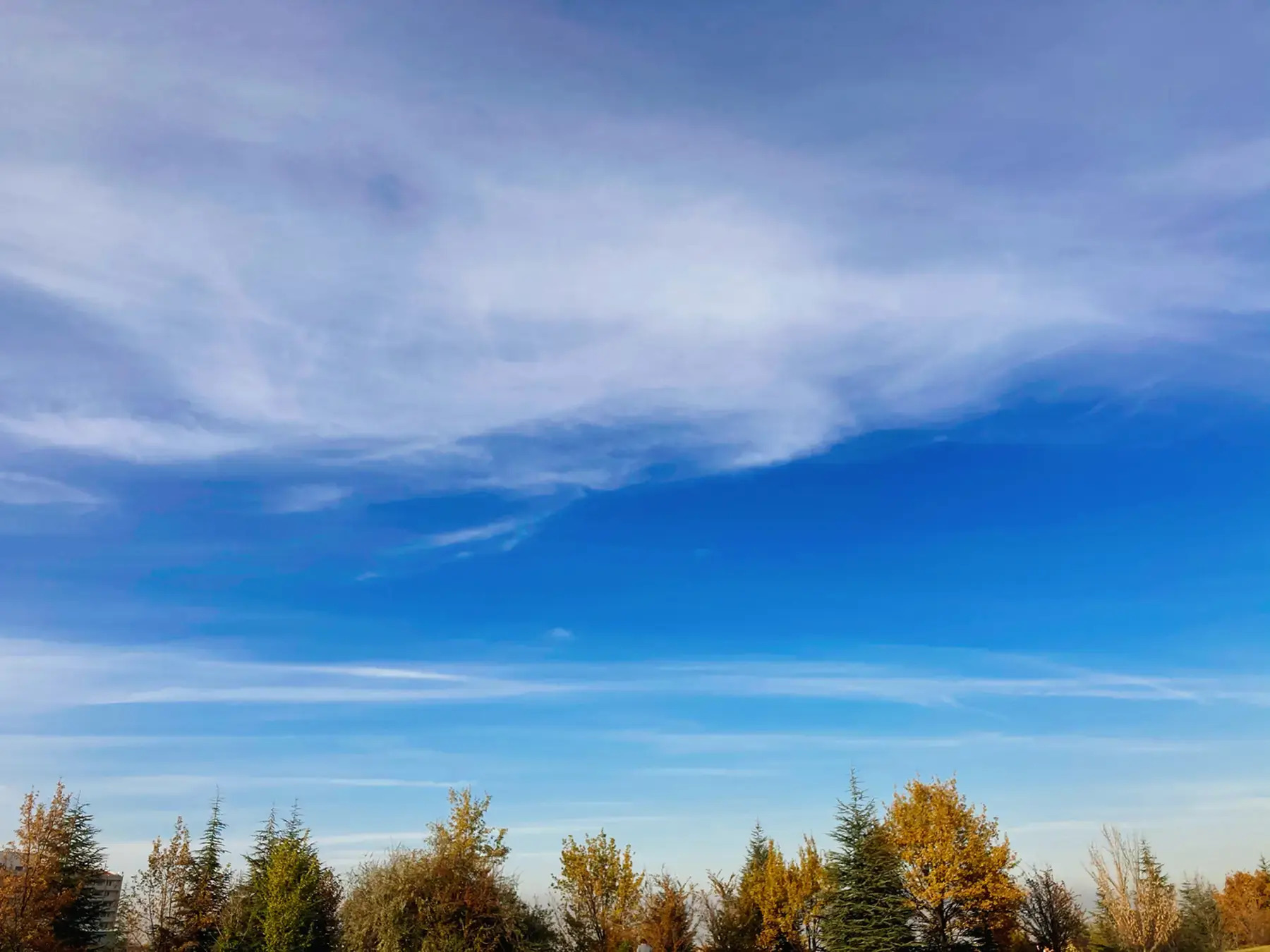 filAnkara #041: 12 Şubat-15 Şubat 2026