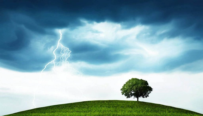 When Your Business Hits a Physical Limit