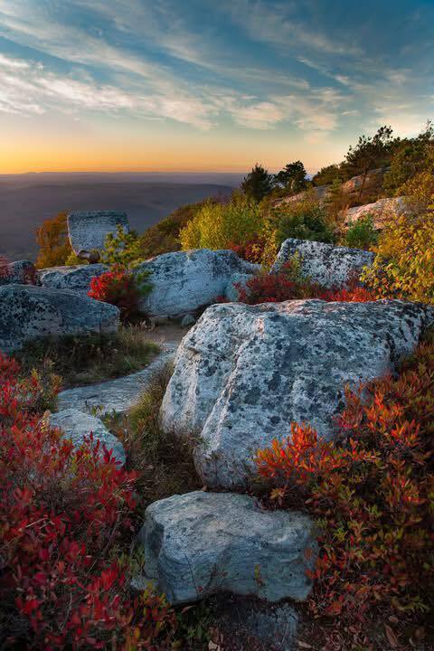 Halloween Decoration Contest