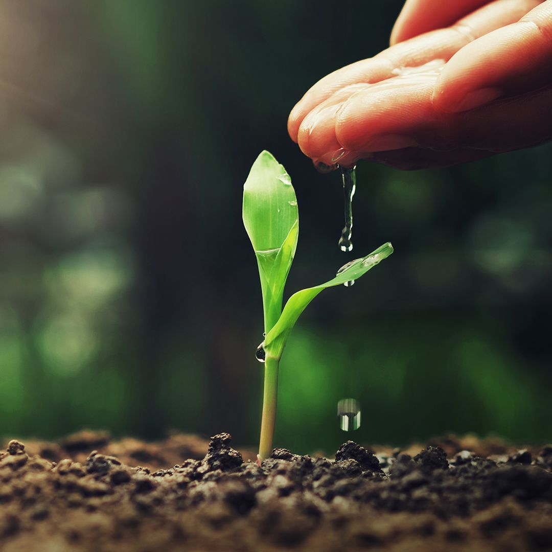 Zakah 101: How to Give Correctly 