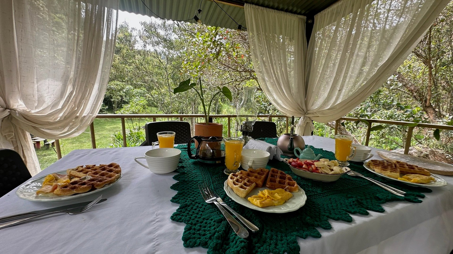 A year of love, laughter, and privacy in the Colombian mountains