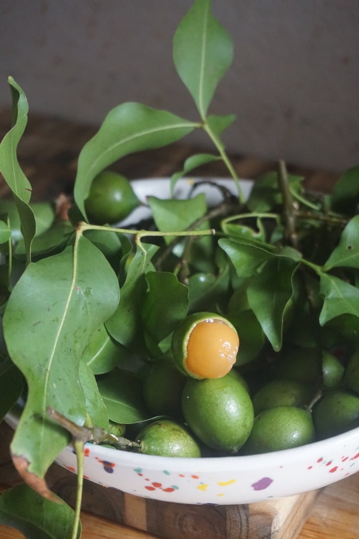 Notes on Fruit & Research