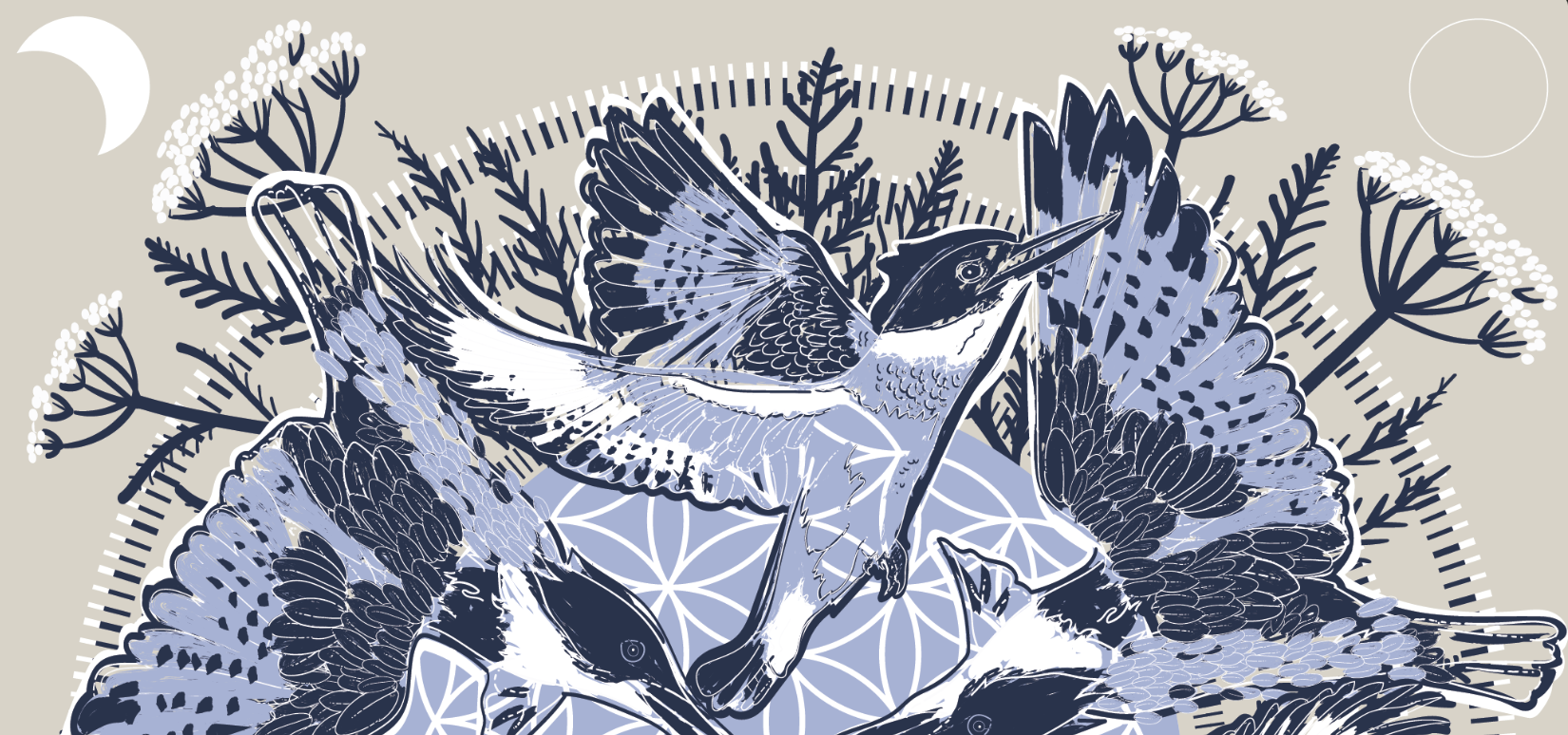 🌿 Listening to the Land