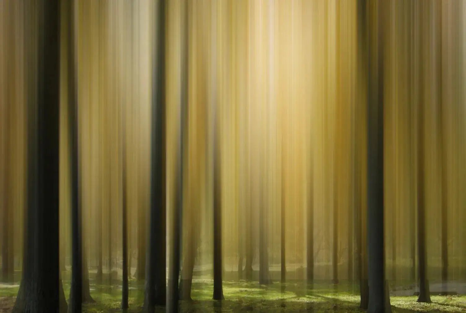 Disturbing The Spirits, a Ghost Forest Series