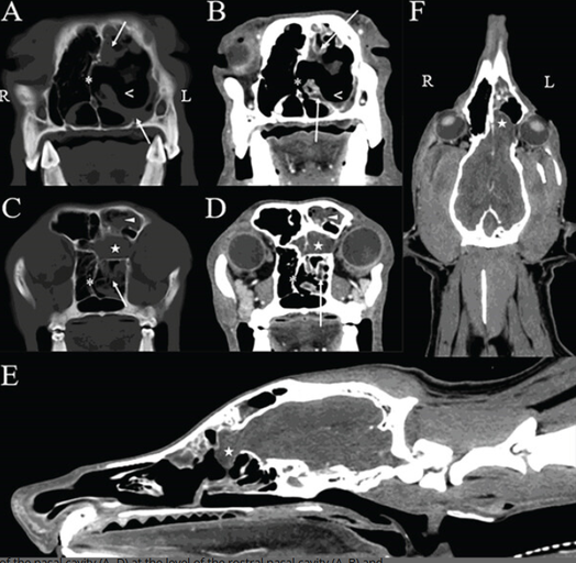 Sometimes it is just 2 diagnosis....