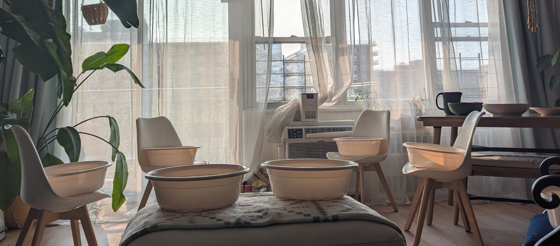 After the Soak, We Wrote | No. 50