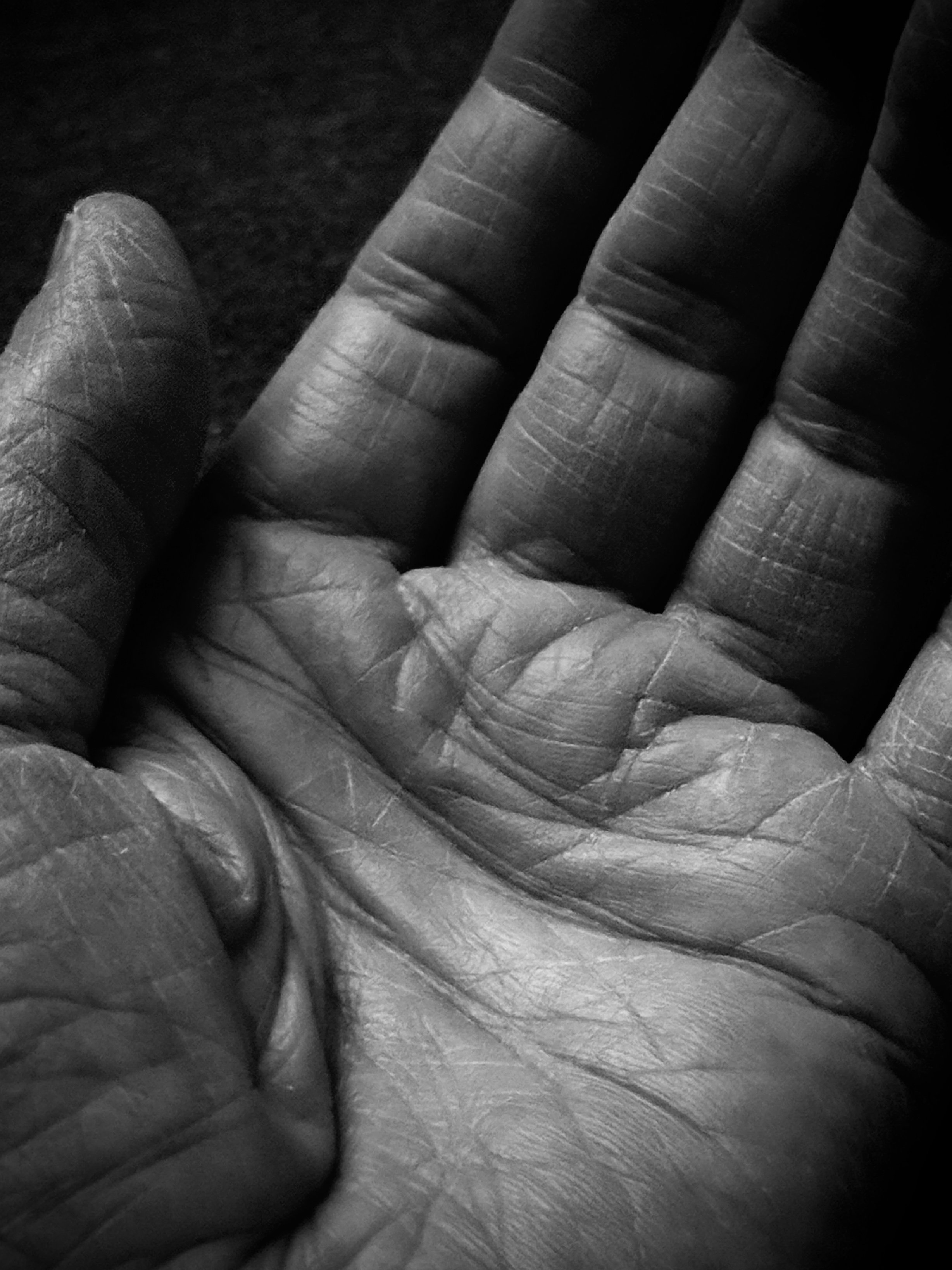 KoinNews: We're Stewarding Meaning