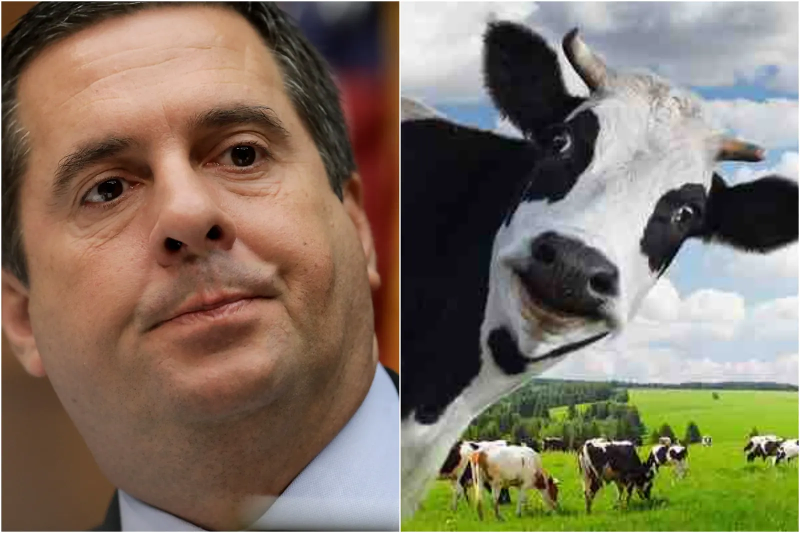 Some Interesting Pieces