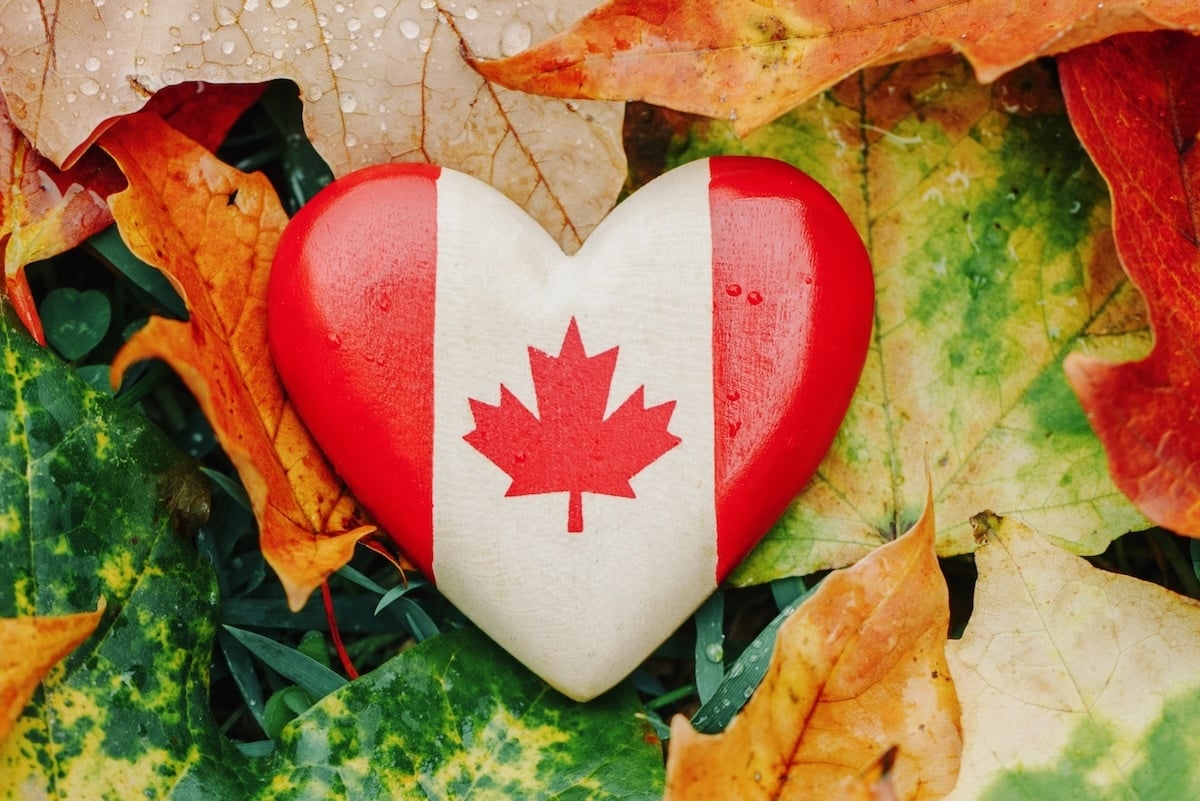 Indians in Canada Face a Alarming Hate Surge