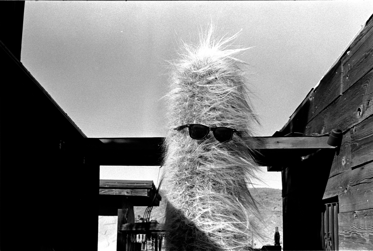 Just Motes: Print’s Moment, Best Book Covers, Police State Glossary