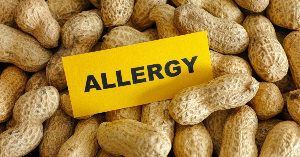 Gut Bacteria May Influence Peanut Allergy Severity