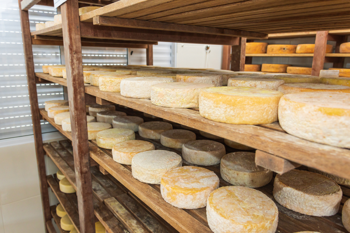 🧀 Brazilian heritage