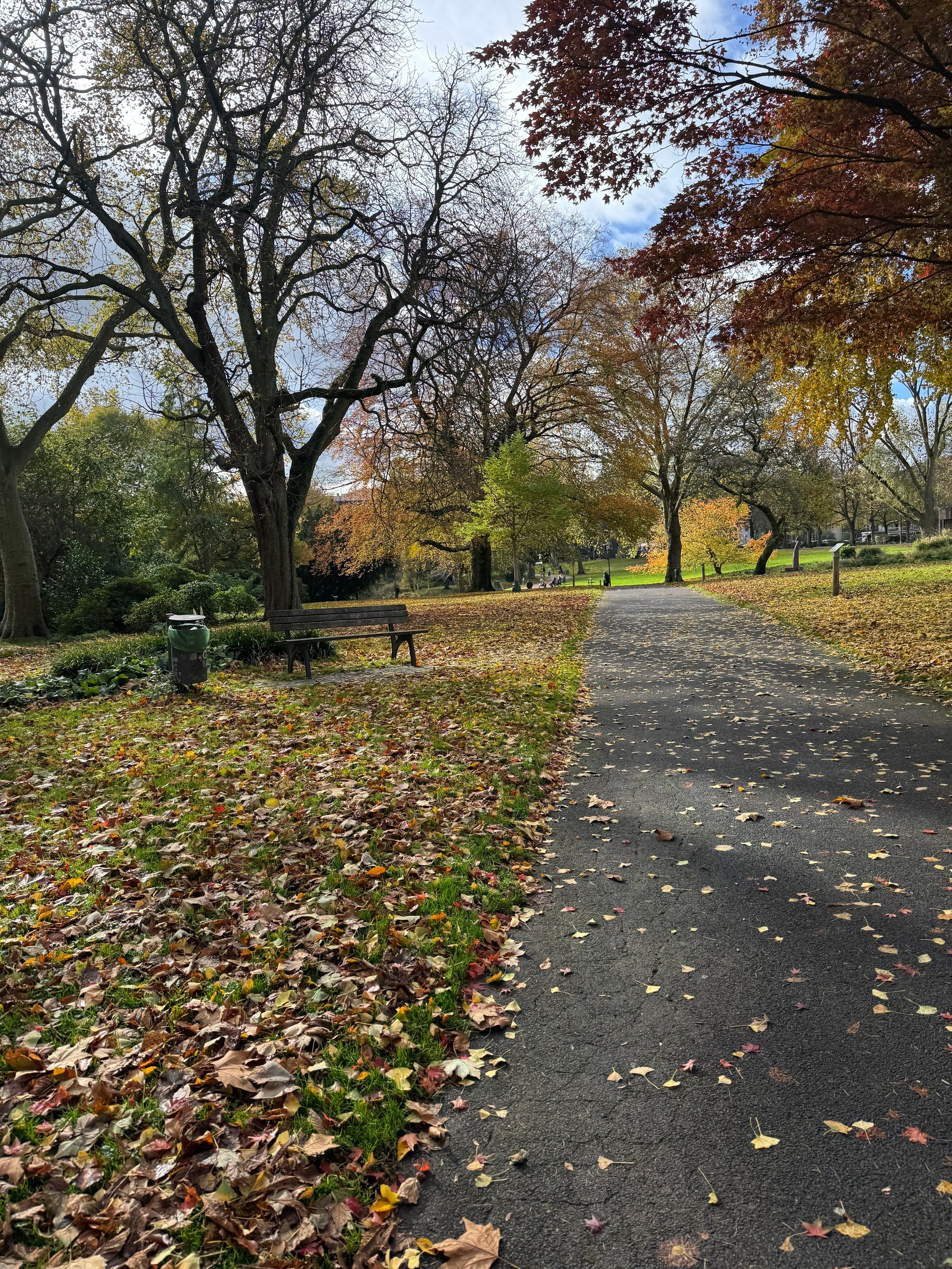 💌 What Really Happens When You Publish Every Day (For 30 Days)