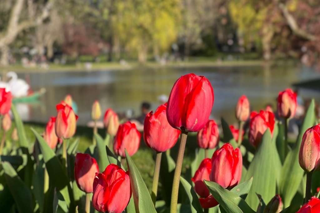 El clima fresco regresa este fin de semana