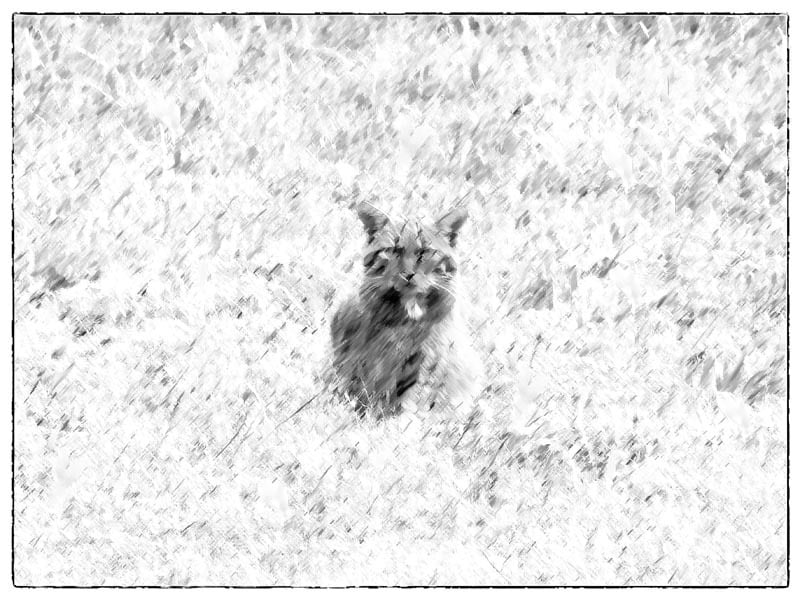 El arte ante la emergencia