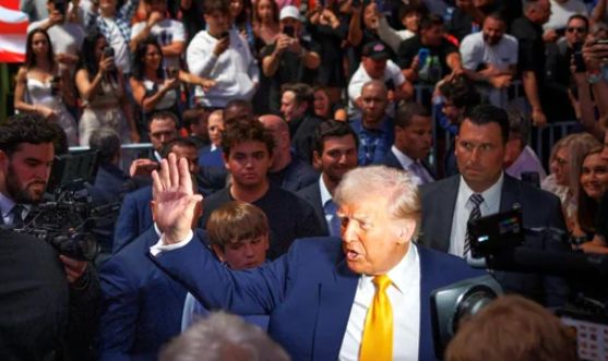 Inside Trump’s White House UFC Event — Why Billionaires and Donors Want In