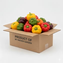 Control Your Food - grow food 365 days a yr.