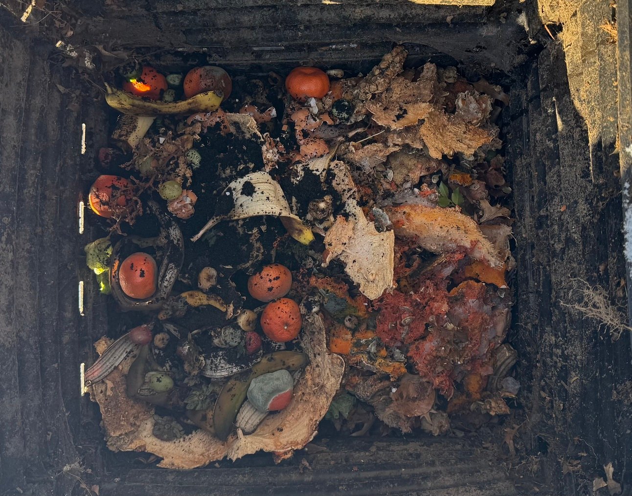 Beware the Deadly Juice Box