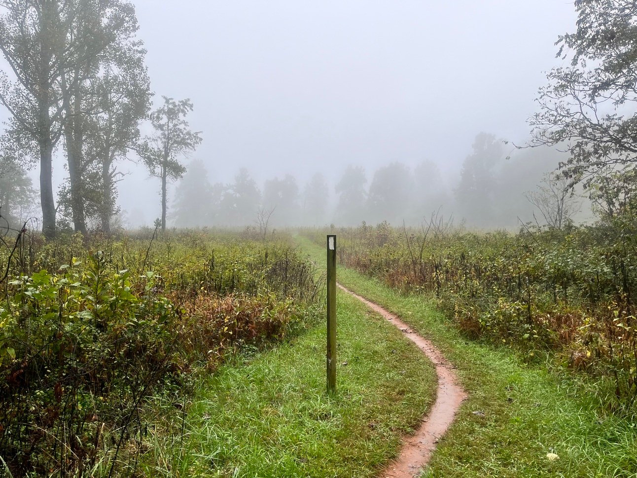 Walk South And See What Happens