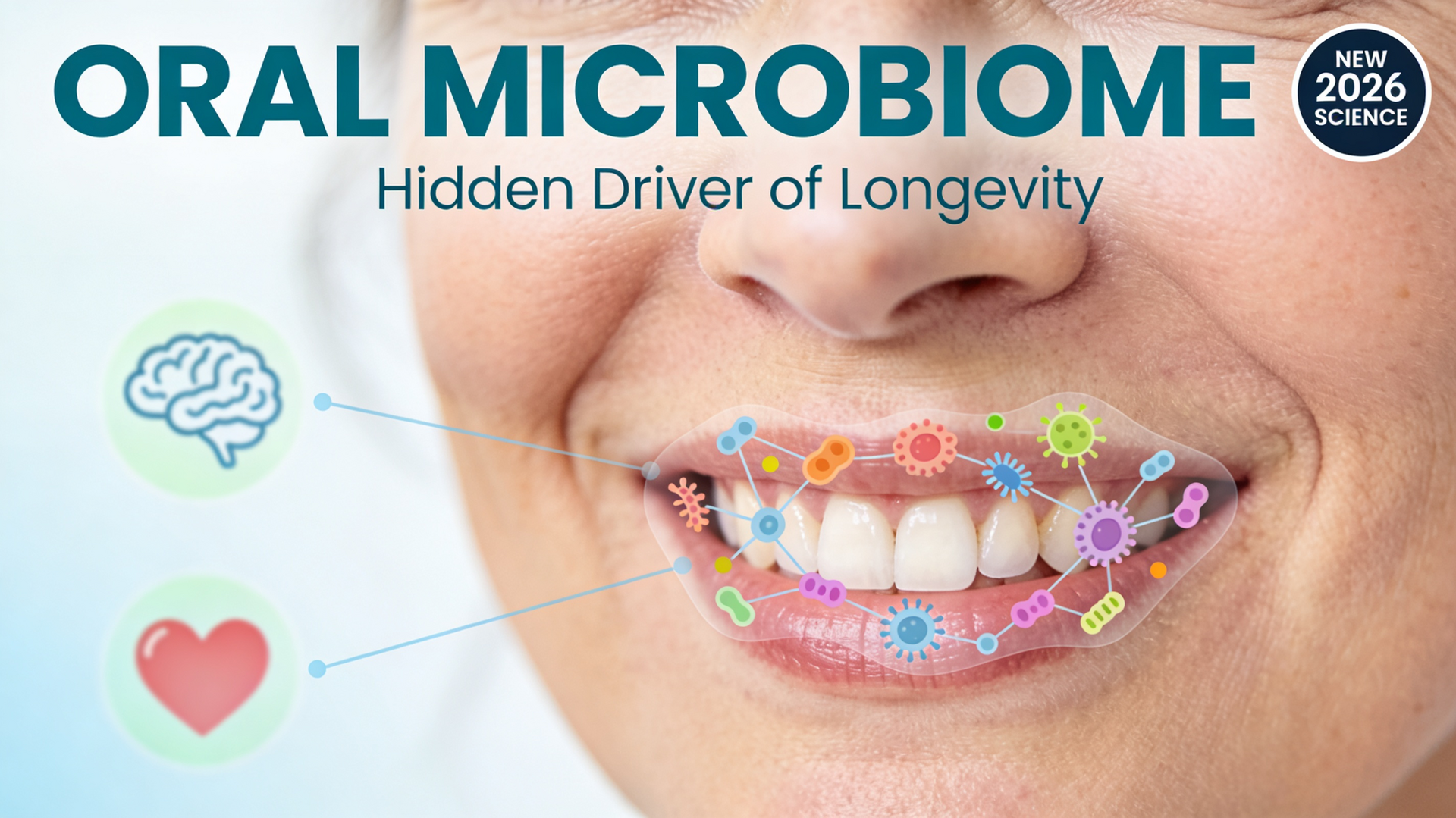 Oral Microbiome: The Hidden Driver of Whole-Body Longevity