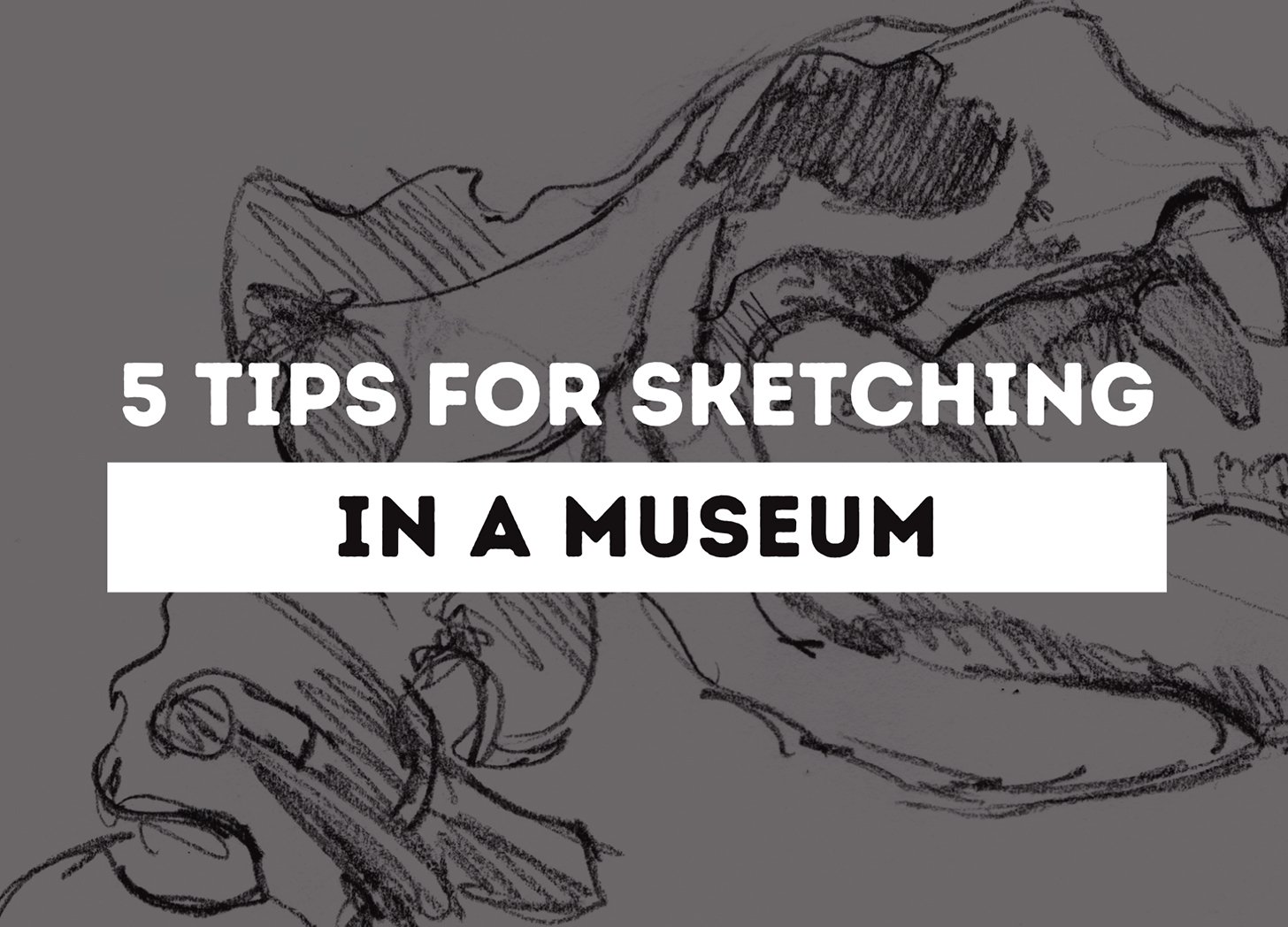 Five Tips for Sketching in a Museum