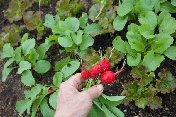 How to navigate a typically variable spring