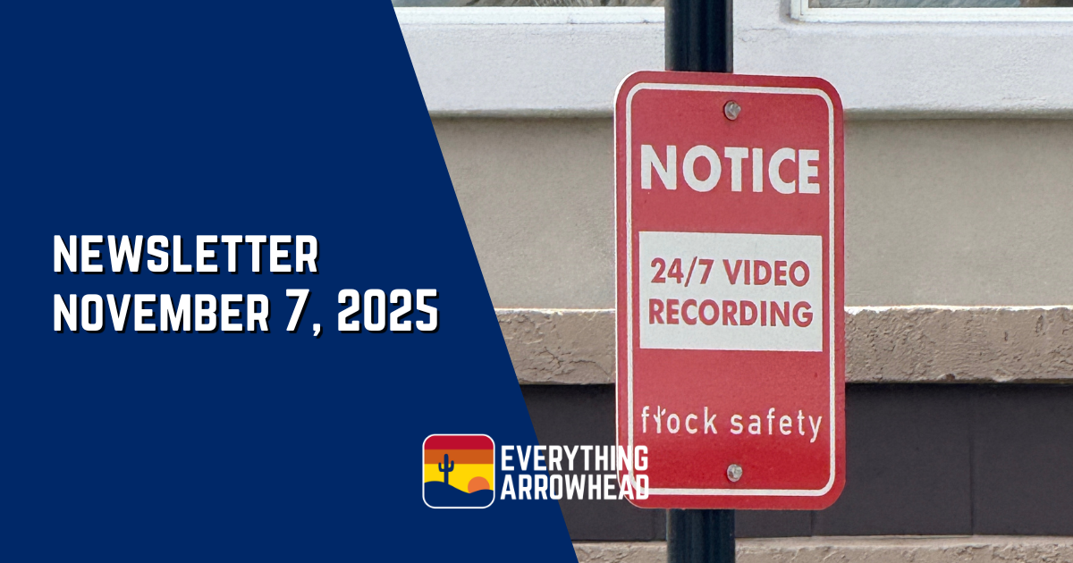 Flock Cameras Explained 📹