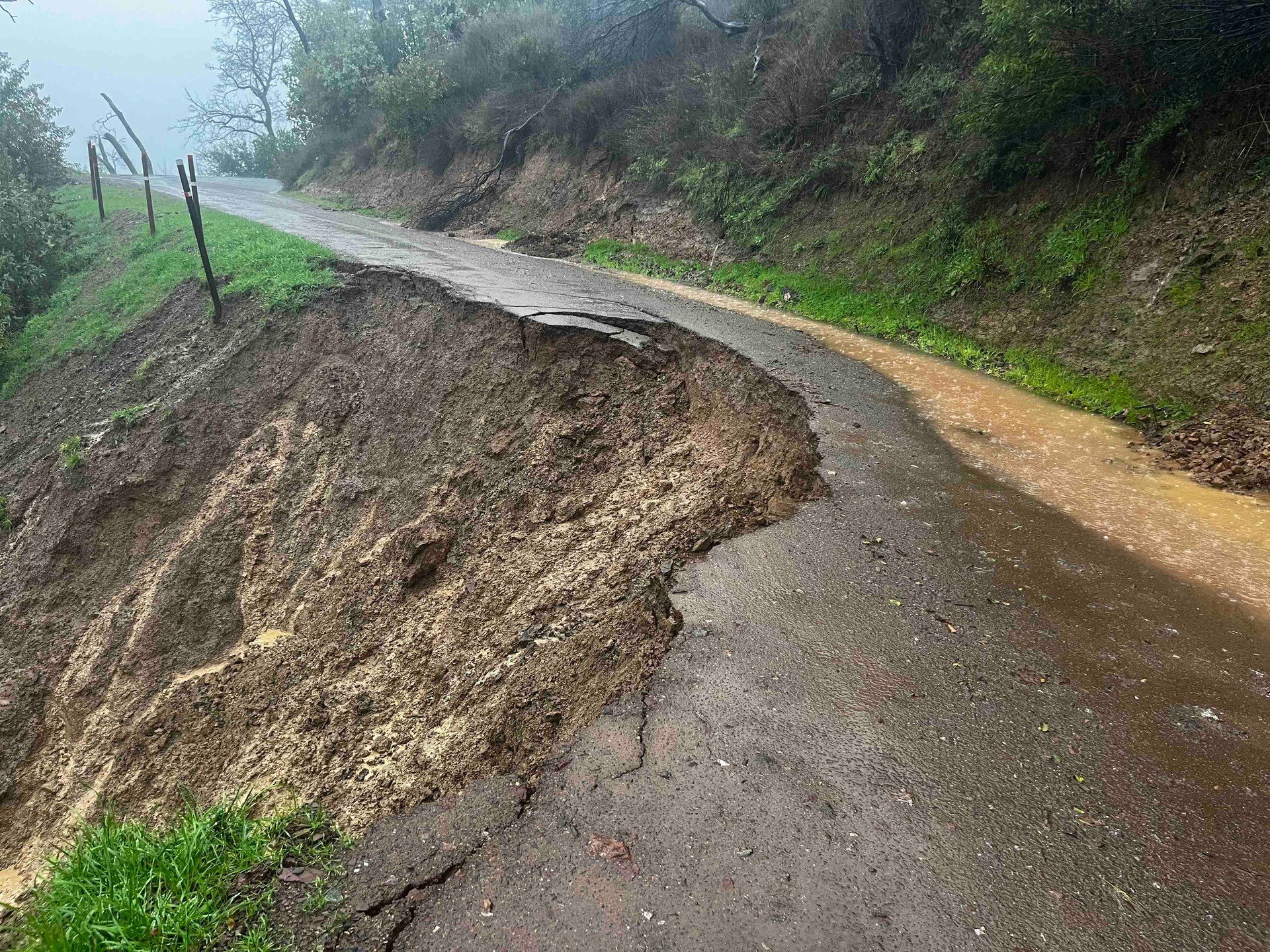 🏡 Storm Pics + 'Cosmico' Comes Home + New Healdsburg Businesses