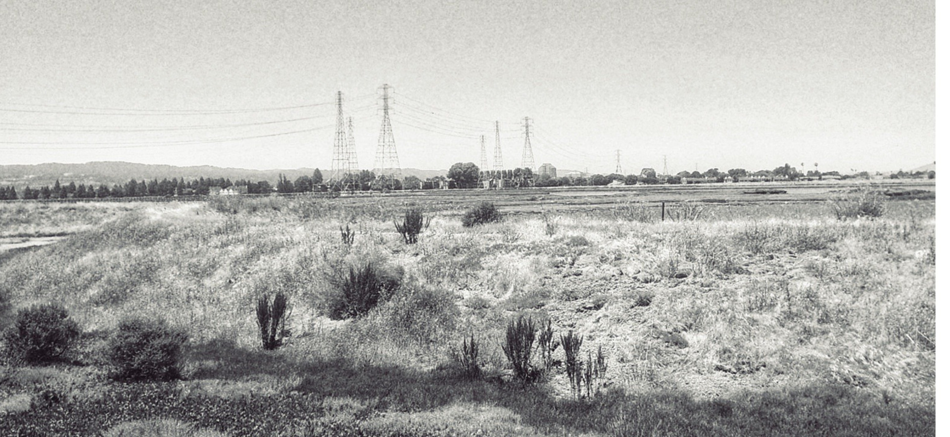 Friday, September 19th