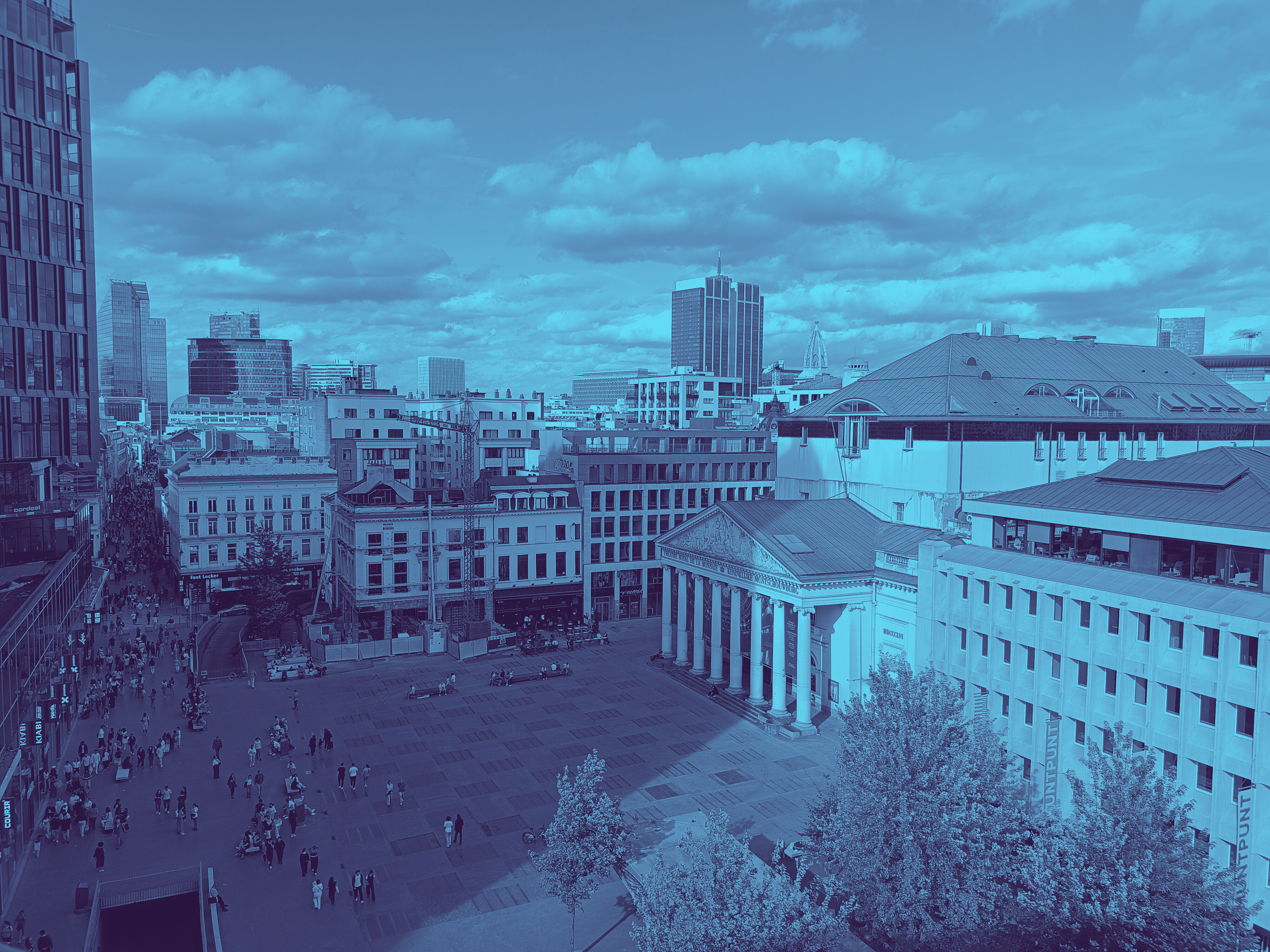 🍸From rooftop bars to caterers