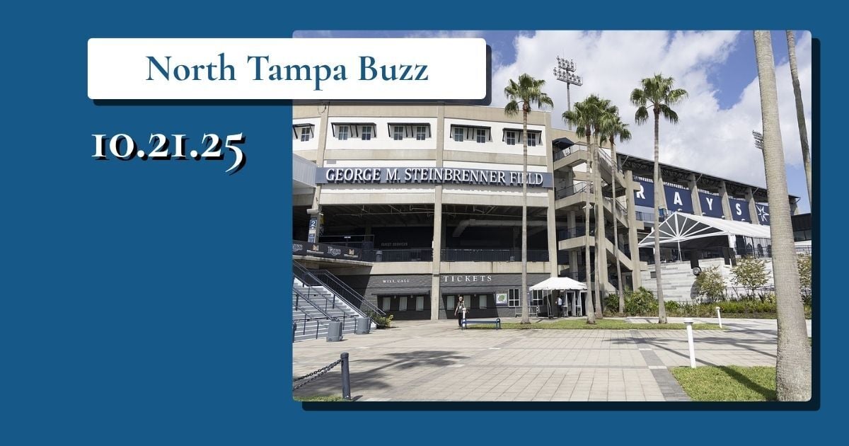 🏟️ Big League Upgrades