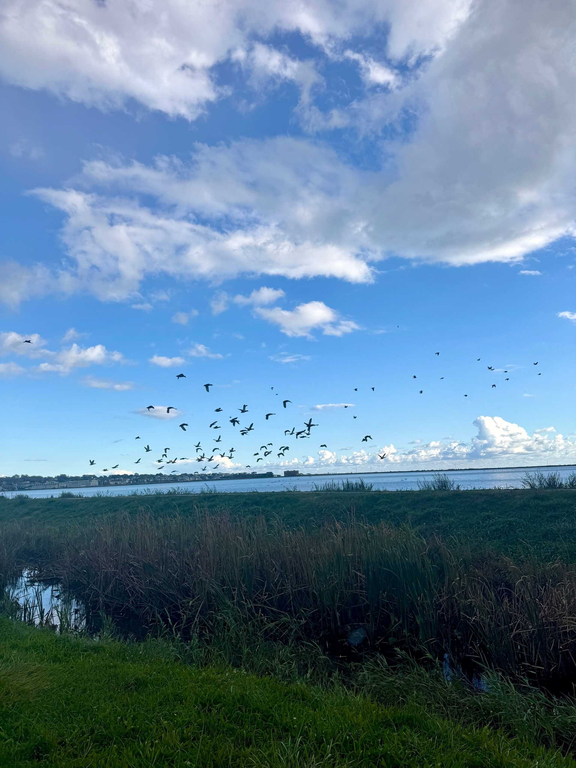 Click. Read. Love. 11.9.25