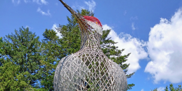 Park Delights and Cocktail Nights ✨ (8/6/24)