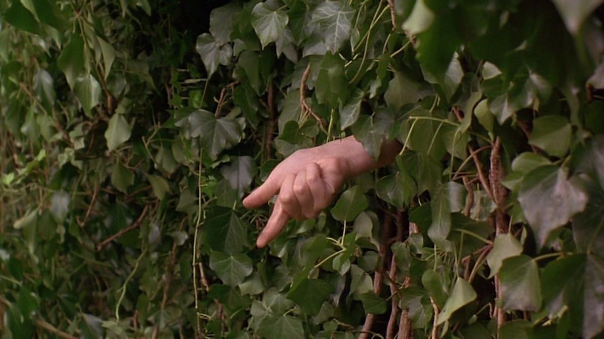 🌑 SAMHAIN/VEIL-TIME EDITION