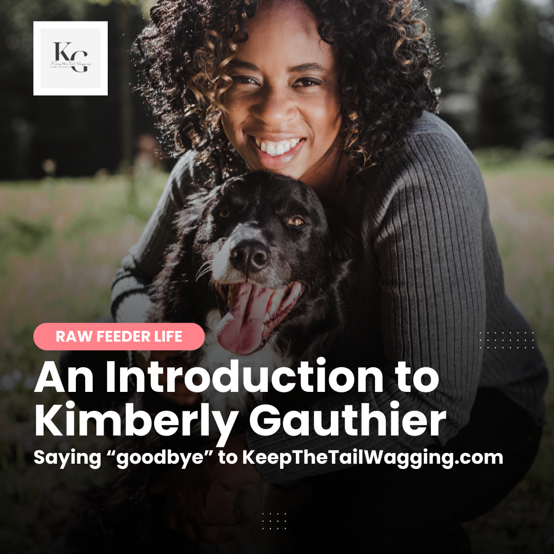 An Introduction to Kimberly Gauthier 